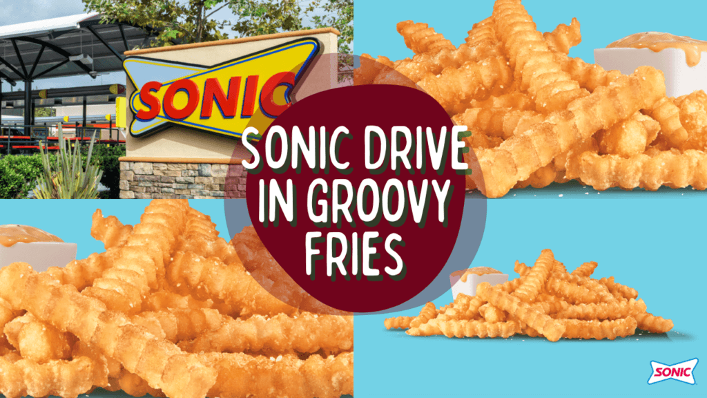 Sonic Groovy Fries 2024 New Fries Release After 10 Years!